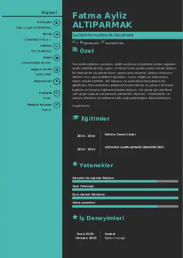 Matematik Öğretmeni Cv Örnekleri cv indir